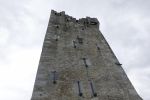 PICTURES/Killarney National Park - Ross Castle & Lough Leane/t_DSC00157.JPG